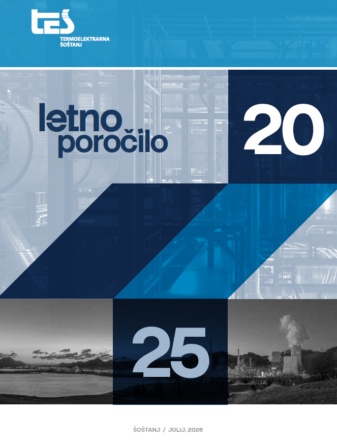 Letno poročilo 2025